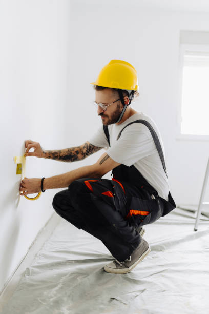 Best Drywall Patching  in Onarga, IL